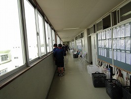 IMG_2901