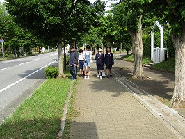 IMG_4392