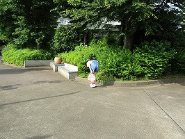 IMG_4400