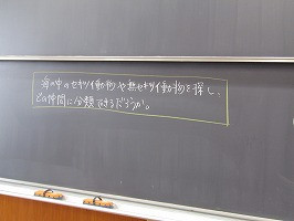 IMG_4423