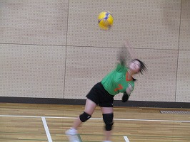 IMG_4741