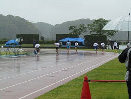 IMG_4954