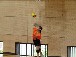 IMG_5183