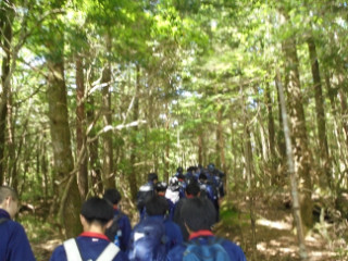 DSC03306