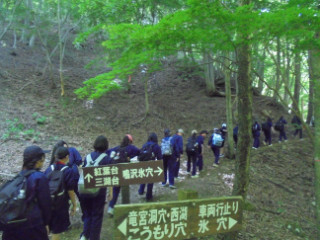 DSC03310