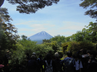 DSC03314
