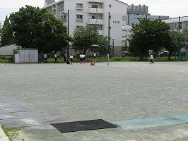 IMG_6225