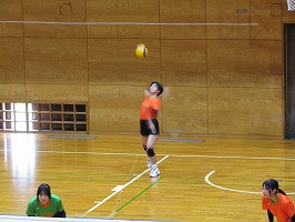 IMG_6530