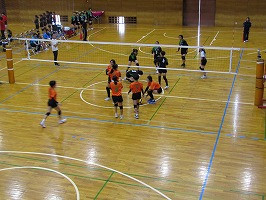 IMG_6554
