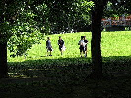 IMG_6784