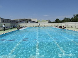 IMG_6871