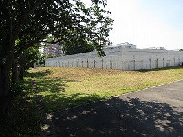 IMG_6809
