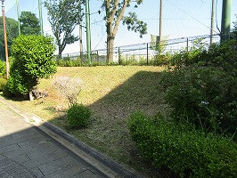 IMG_6816