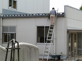 IMG_2888