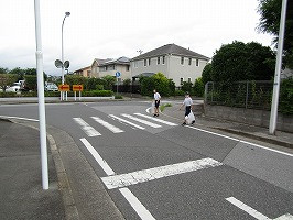 IMG_7085