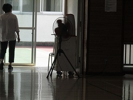 IMG_7795
