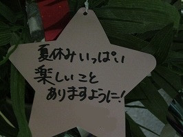 IMG_8011