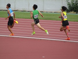 IMG_8310