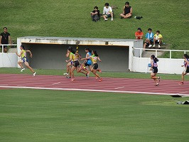IMG_8373