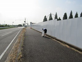 IMG_8520