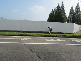 IMG_8524