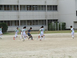 IMG_9486