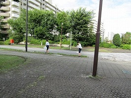 IMG_9762