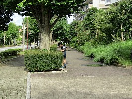 IMG_9765
