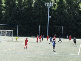 IMG_0454