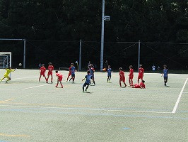 IMG_0486