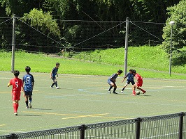 IMG_0492