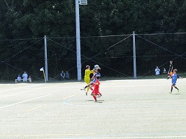 IMG_0491