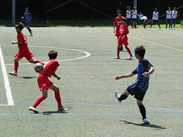 IMG_0509