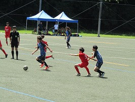 IMG_0553