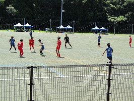 IMG_0565