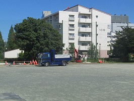 IMG_1008