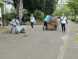 IMG_1807