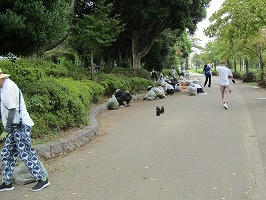 IMG_1809
