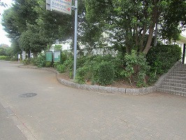 IMG_1833