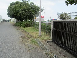 IMG_1842