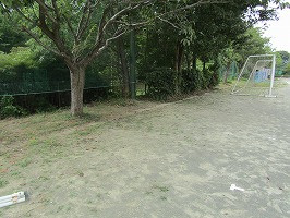 IMG_1851