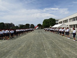 IMG_3394