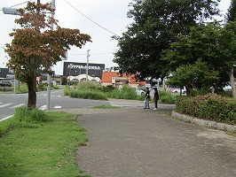 IMG_3435