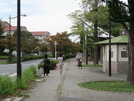 IMG_3436