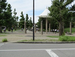 IMG_3440