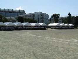 IMG_3444
