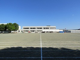 IMG_3445
