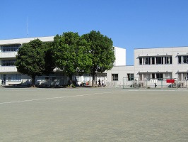 IMG_3446