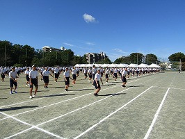 IMG_3453