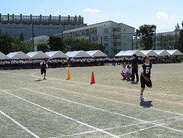 IMG_3474